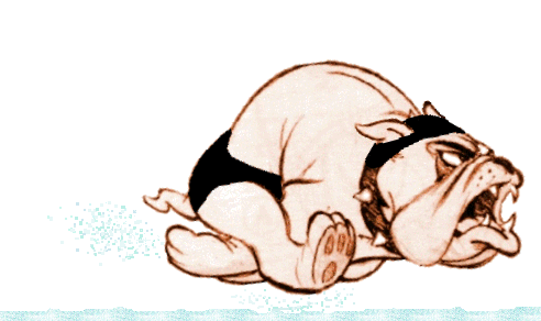 swim dog