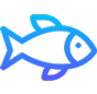 Fish Camp